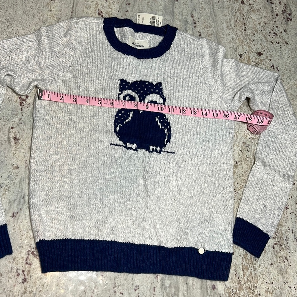 abercrombie winky owl sweater